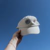 Cap – Bild 2